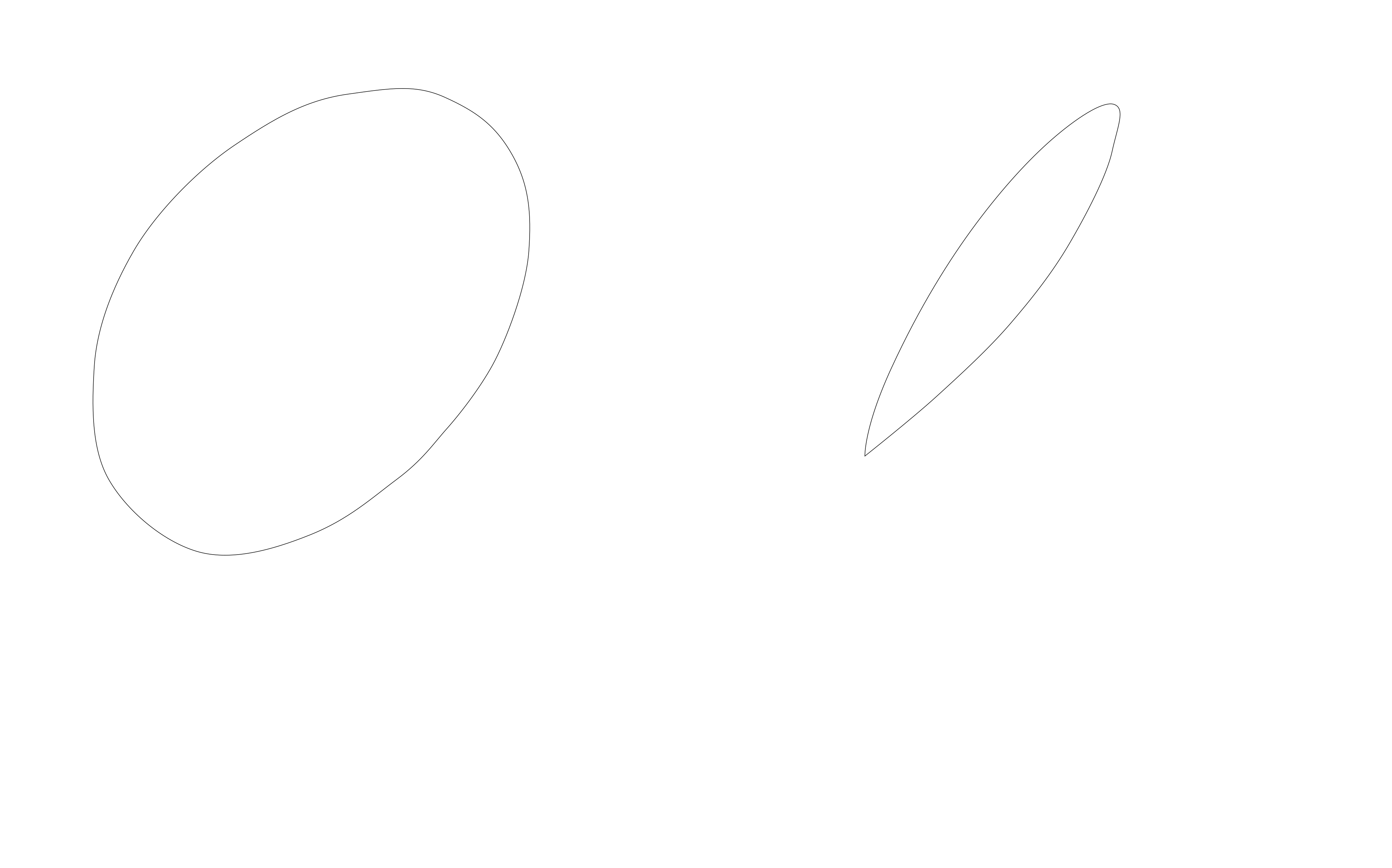 logo ottica orla